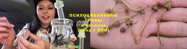 соль ск Абаза