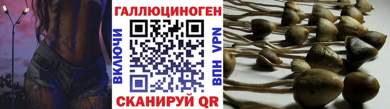 Псилоцибиновые грибы MAGIC MUSHROOMS  shop наркотические препараты  Новочебоксарск 